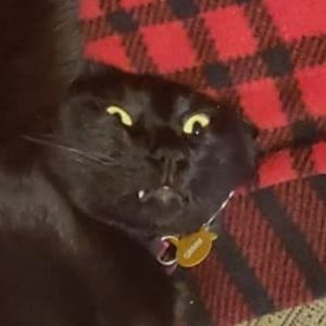 Meet your Posher, Geó